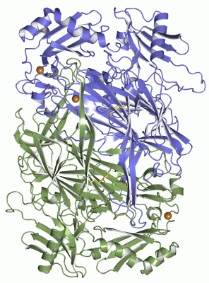 Image Asym./Biol. Unit - manually