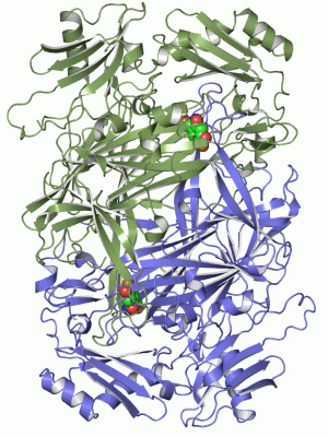Image Asym./Biol. Unit - manually