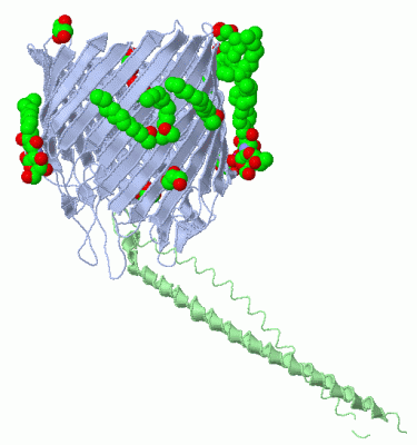 Image Asym./Biol. Unit - manually