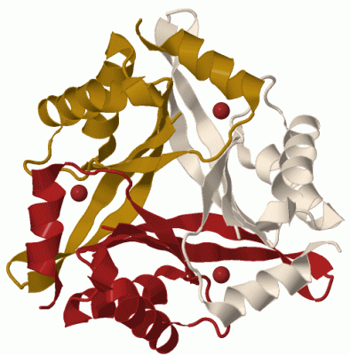 Image Biol.Unit 1 - manually