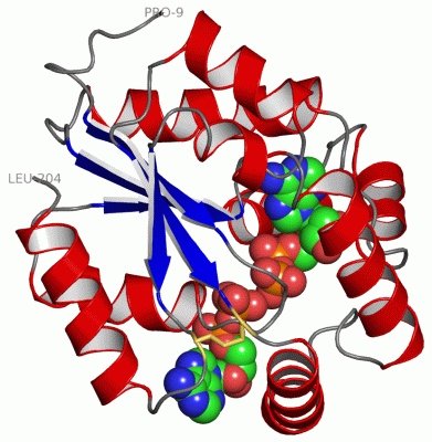 Image Asym./Biol. Unit - manually