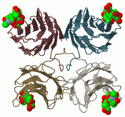 Image Biol.Unit 1 - manually