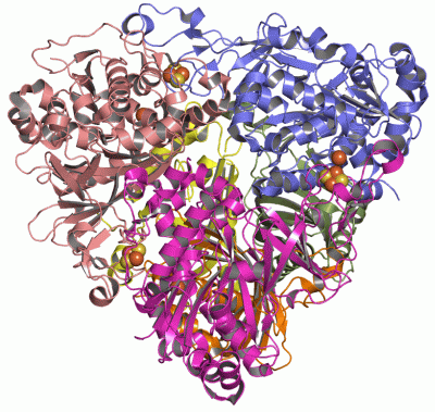 Image Asym./Biol. Unit - manually
