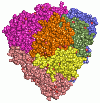 Image Asym./Biol. Unit - manually