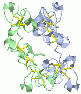 Image Asym./Biol. Unit - manually