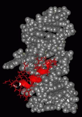 Image NMR Structure - manually