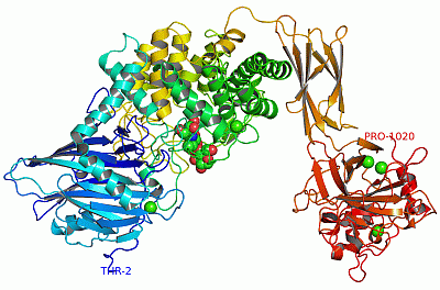 Image Asym./Biol. Unit - manually