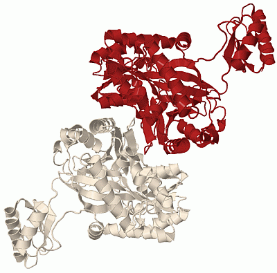 Image Biol.Unit 1 - manually