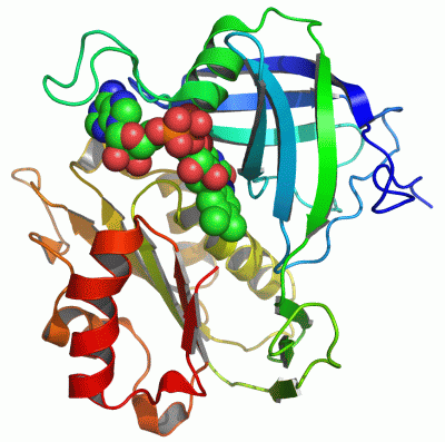 Image Asym./Biol. Unit - manually