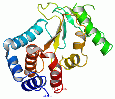 Image Asym./Biol. Unit - manually