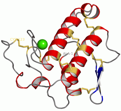 Image Asym./Biol. Unit - manually