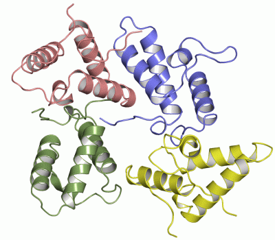 Image Asym./Biol. Unit - manually