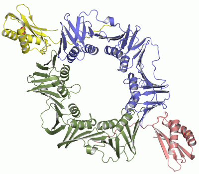 Image Asym./Biol. Unit - manually