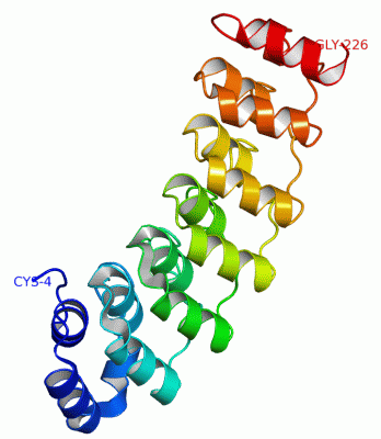 Image Asym./Biol. Unit - manually