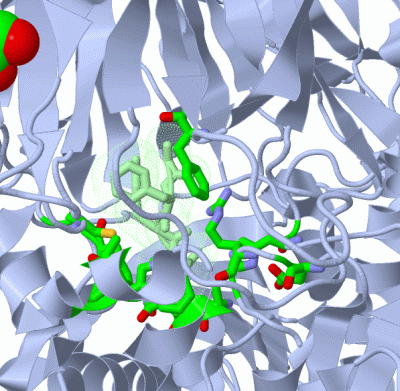 Image Asym./Biol. Unit - manually