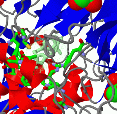 Image Asym./Biol. Unit - manually