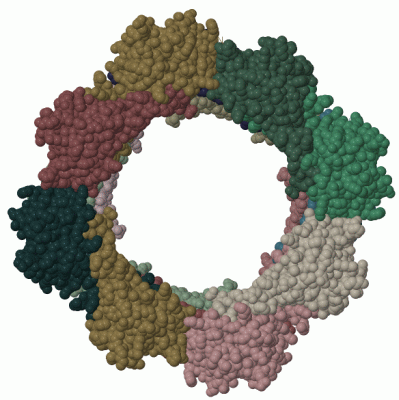 Image Biol.Unit 1 - manually