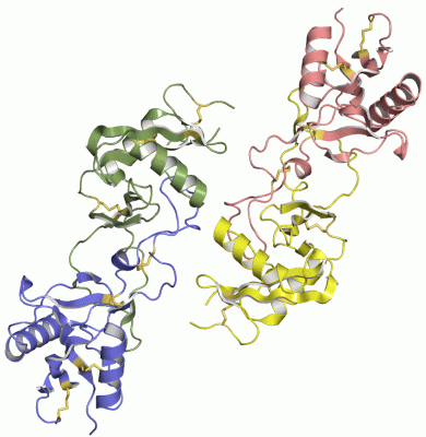 Image Asym.Unit - manually