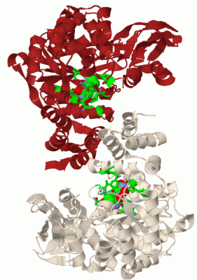 Image Biol.Unit 1 - manually