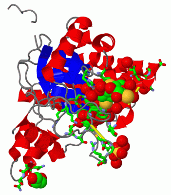 Image Asym./Biol. Unit - manually