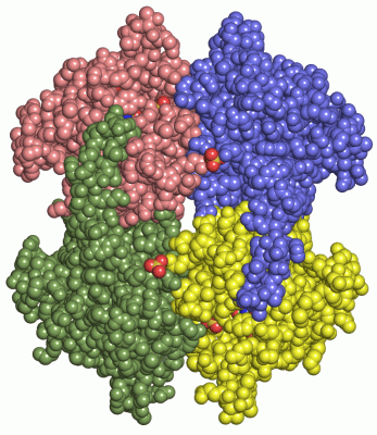 Image Asym./Biol. Unit - manually