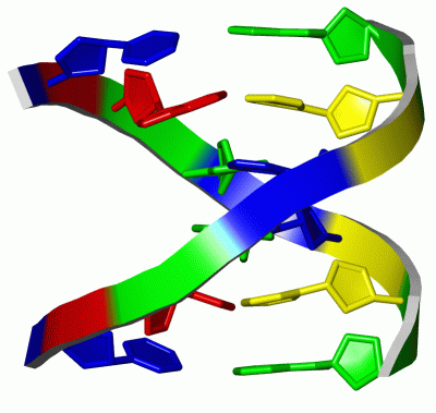 Image NMR Structure - manually