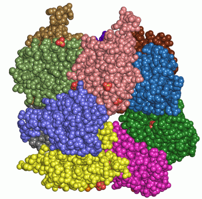 Image Asym./Biol. Unit - manually