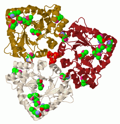 Image Biol.Unit 1 - manually