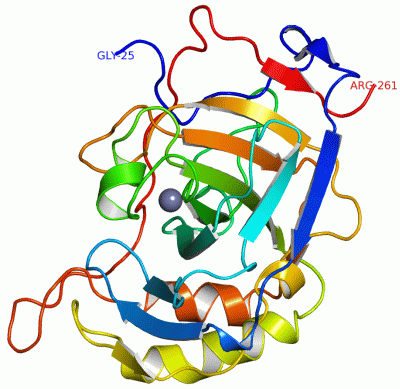 Image Asym./Biol. Unit - manually