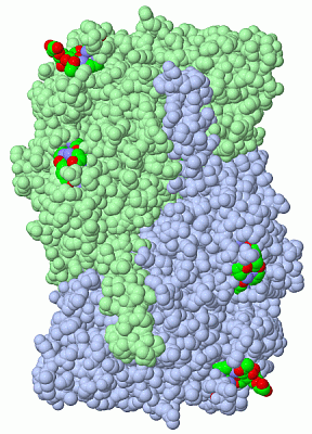 Image Asym./Biol. Unit - manually