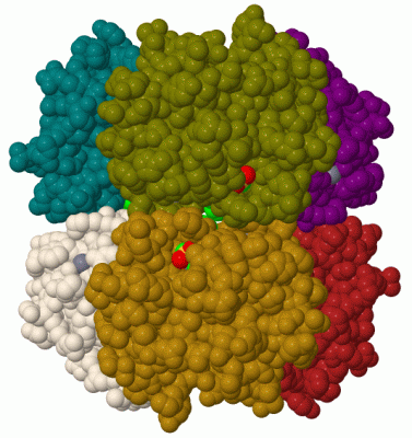 Image Biol.Unit 1 - manually