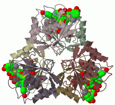 Image Biol.Unit 1 - manually