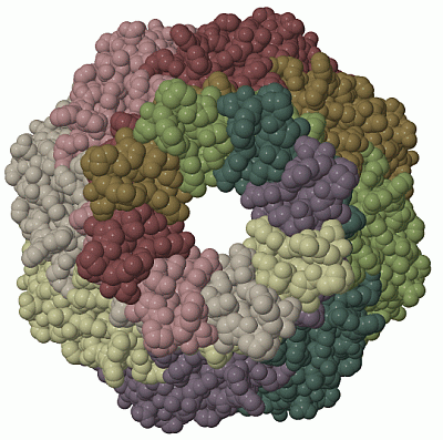 Image Biol.Unit 1 - manually