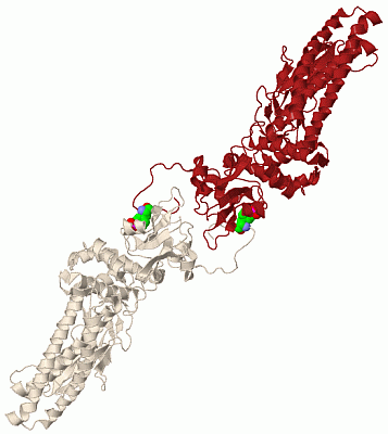 Image Biol.Unit 1 - manually