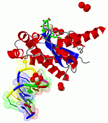 Image Biol.Unit 1 - manually