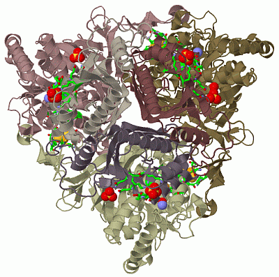 Image Biol.Unit 1 - manually
