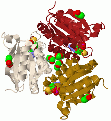 Image Biol.Unit 1 - manually