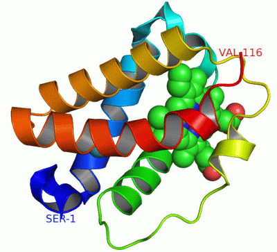 Image Asym./Biol. Unit - manually