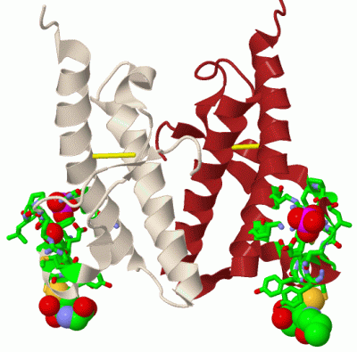 Image Biol.Unit 1 - manually