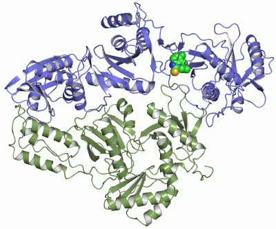 Image Asym./Biol. Unit - manually