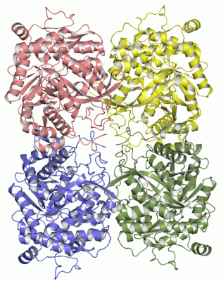 Image Asym./Biol. Unit - manually