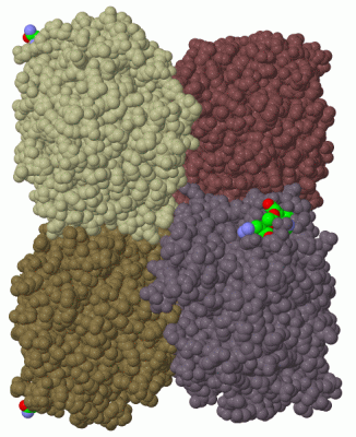 Image Biol.Unit 1 - manually