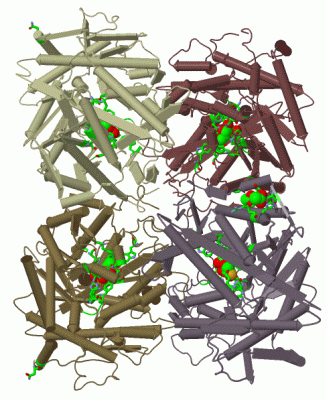 Image Biol.Unit 1 - manually