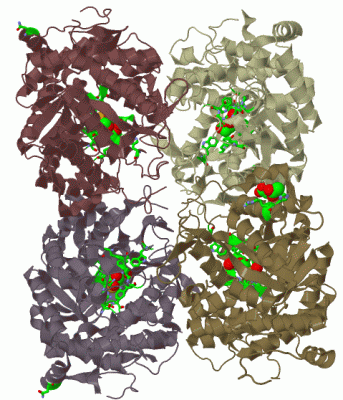 Image Biol.Unit 1 - manually