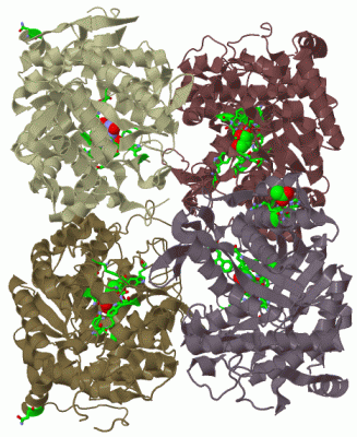 Image Biol.Unit 1 - manually