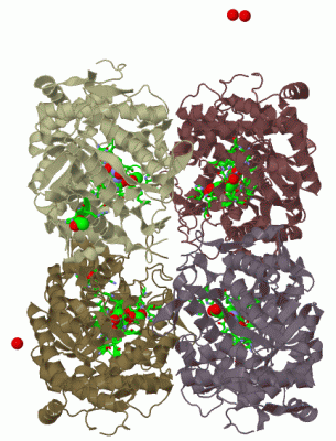 Image Biol.Unit 1 - manually