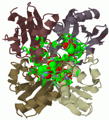 Image Biol.Unit 1 - manually