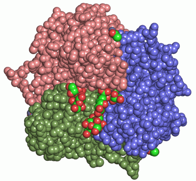 Image Asym./Biol. Unit - manually