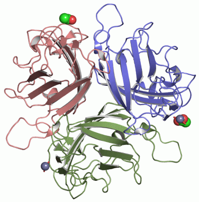 Image Asym./Biol. Unit - manually