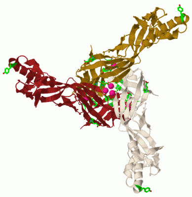 Image Biol.Unit 1 - manually